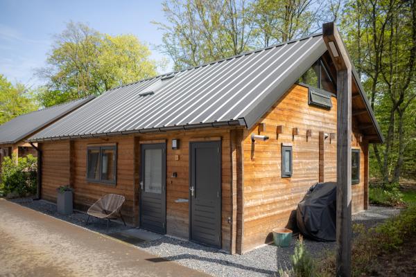Elegant houten vakantiehuis aan de bosrand in Soesterberg - thumbnail 2
