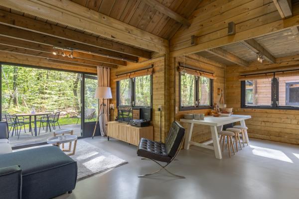 Elegant houten vakantiehuis aan de bosrand in Soesterberg - thumbnail 4