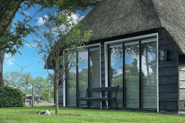 Luxe rietgedekte woning in het Vechtdal met tuin en dierenweide - thumbnail 2