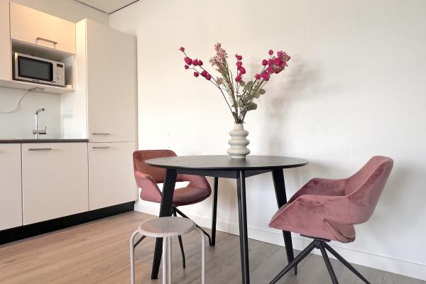 Luxe appartement aan de haven van Maasbommel met terras - thumbnail 3