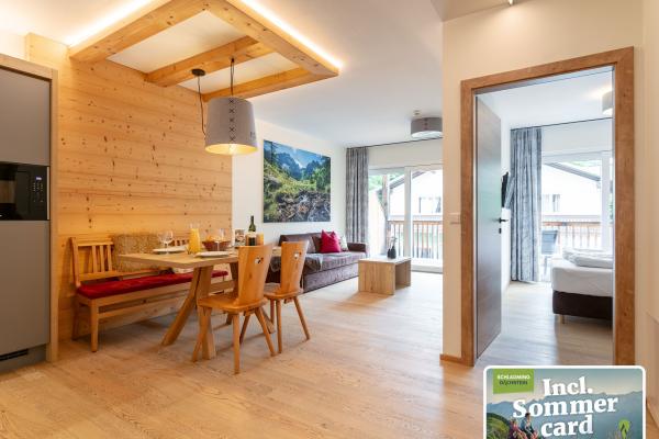 4-persoons appartement met privésauna in centrum Haus im Ennstal - thumbnail 1