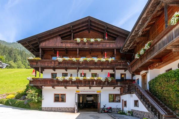 Aan de piste: Gezellig appartement in het centrum van Alpbach · 4 pers. - thumbnail 2
