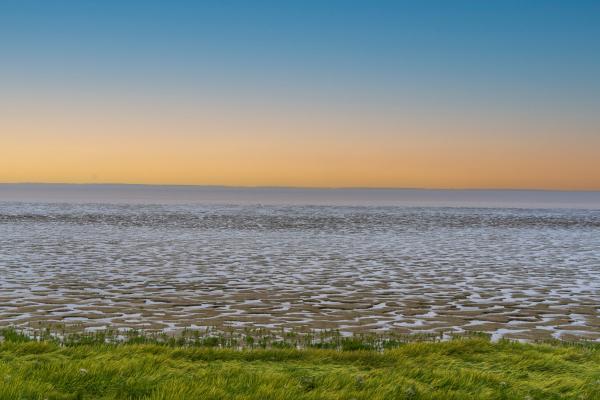 Uniek Vissershuis direct aan de Waddenzee in Friesland - thumbnail 2