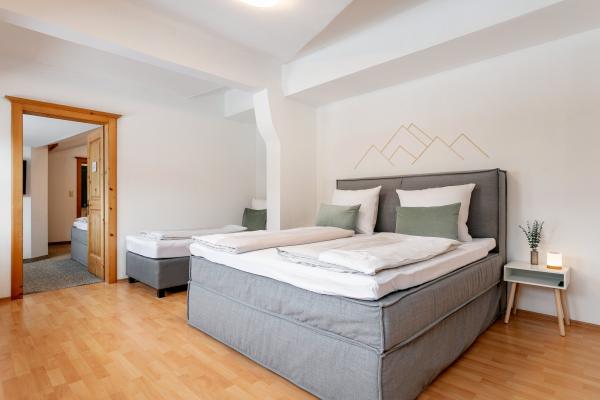 Ruim appartement in centrum Kirchberg met eigen sauna en tuin - thumbnail 3