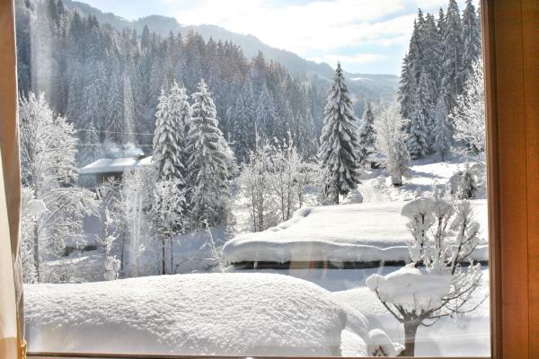 Aan de piste: Luxe vrijstaand chalet in Hopfgarten im Brixental - thumbnail 4