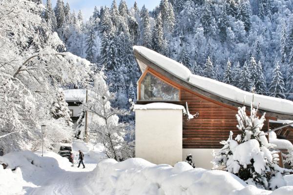 Aan de piste: Luxe vrijstaand chalet in Hopfgarten im Brixental - thumbnail 2