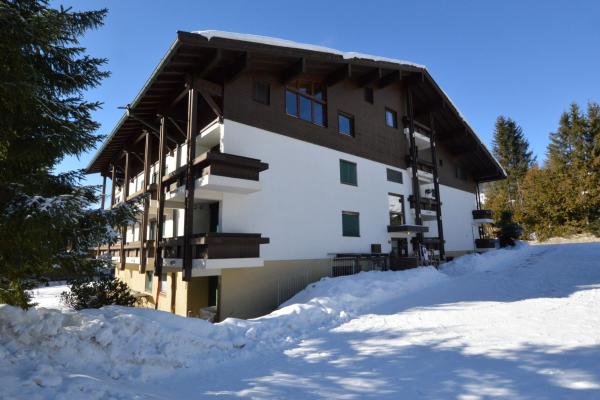 4-persoons appartement in centrum Hinterthal aan de piste - thumbnail 1