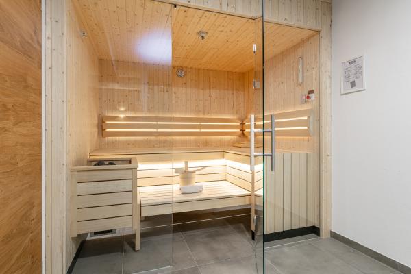 Luxe chalet met privésauna op 10 minuten van de pistes van Flachau - thumbnail 2