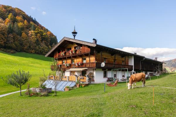 Rustiek bergappartement voor 4 personen met panoramisch uitzicht in Wildschönau - thumbnail 6