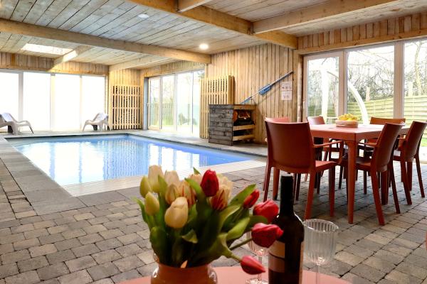 Gîte met binnenzwembad, sauna en speelruimte voor 14 personen in de Ardennen - thumbnail 1