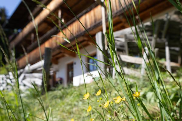 Panorama-appartement direct aan de piste in Alpbach - thumbnail 1