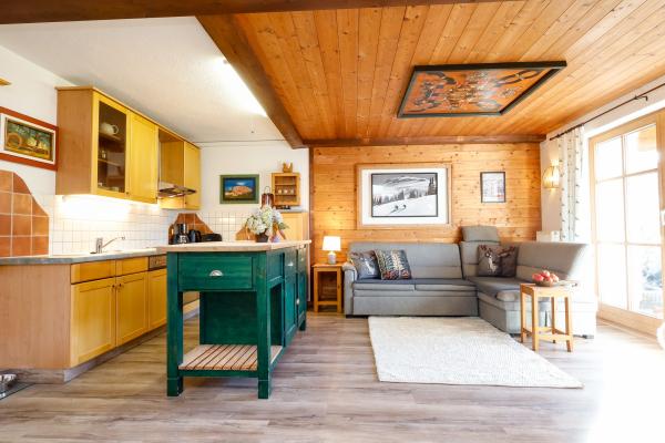 Panorama-appartement direct aan de piste in Alpbach - thumbnail 4