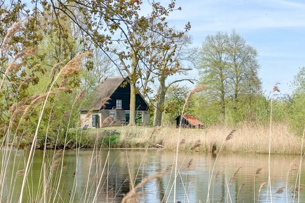 Vrijstaand waterhuis bij de Biesbosch: natuur, rust en avontuur - thumbnail 1