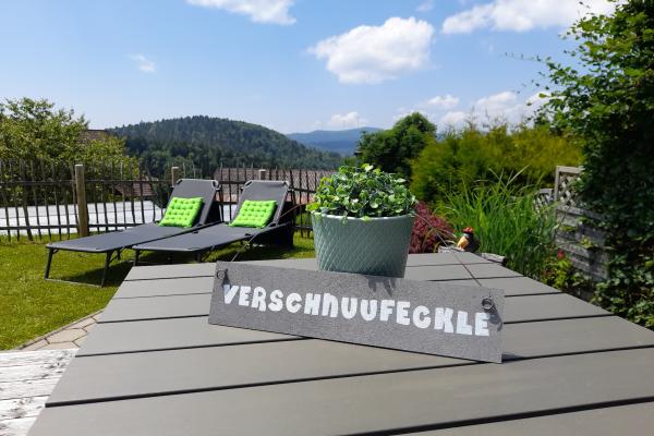Licht penthouse met balkon, eigen tuin & BBQ aan de skipiste in Herrischried - thumbnail 3