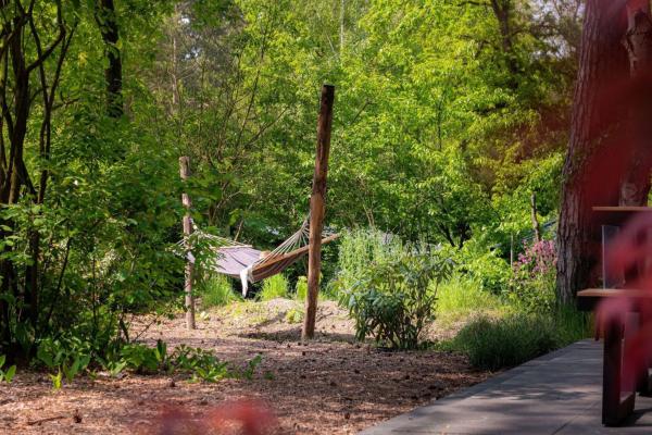 Royale Veluwse lodge op rustig bospark, 4 pers., op 120m van centrum Nunspeet - thumbnail 5