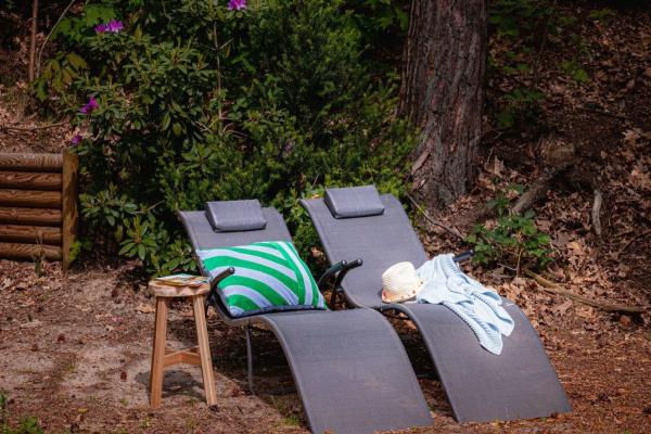 Luxe vakantiehuis De Linde op rustig bospark, 90m van centrum Nunspeet - thumbnail 4
