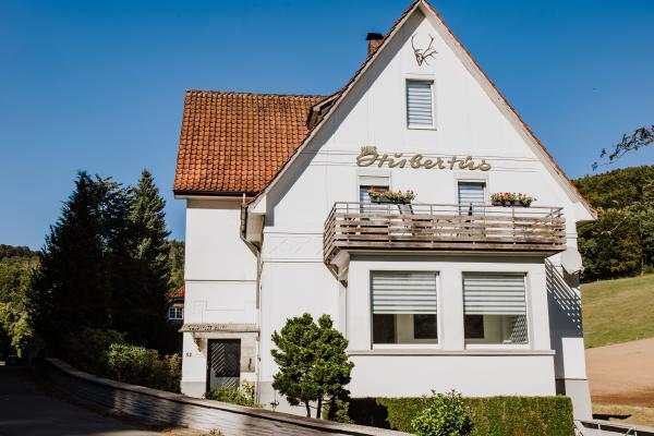 Groot vakantieappartement voor 13 personen met tuin aan de bosrand bij Bad Pyrmont - thumbnail 1