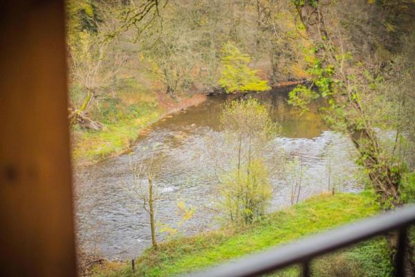 Vrijstaand chalet aan de Ourthe voor 4 personen in Tohogne - thumbnail 6