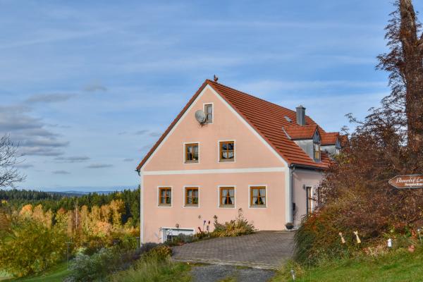 Ruim groepshuis met sauna in het Opper-Palts Woud bij Schönsee - thumbnail 2