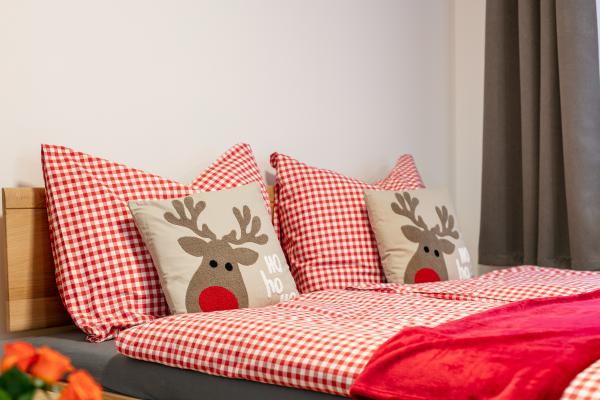 3 knusse appartementen in Brixen im Thale, direct aan de piste - thumbnail 3