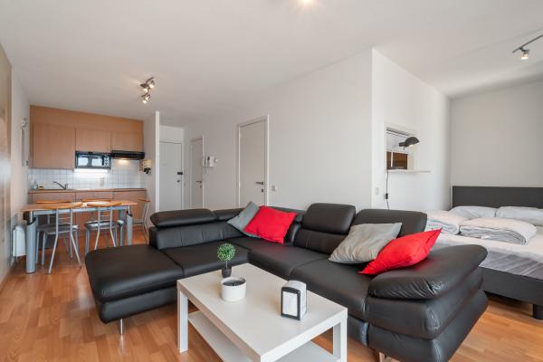 4-persoons appartement met zeezicht in centrum Blankenberge · 4 pers. - thumbnail 1