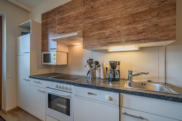 Ruim appartement voor 12 personen direct aan de piste in Mittersill - thumbnail 5