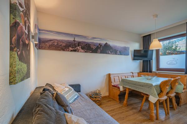 Ruim appartement voor 12 personen direct aan de piste in Mittersill - thumbnail 4
