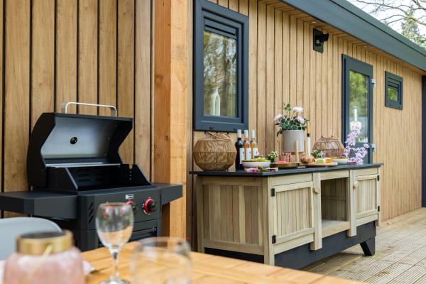 Luxe bosverblijf met overdekt terras en buitenkeuken in Hattemerbroek - thumbnail 2
