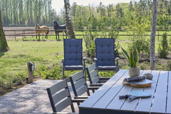 Guesthouse het Koetshuis: Luxe landelijke bungalow met jacuzzi & sauna - thumbnail 6