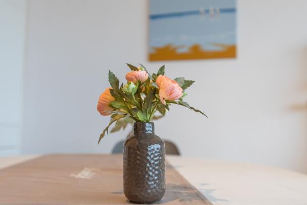 Licht appartement met zonnig terras en prachtig zeezicht in Middelkerke - thumbnail 5