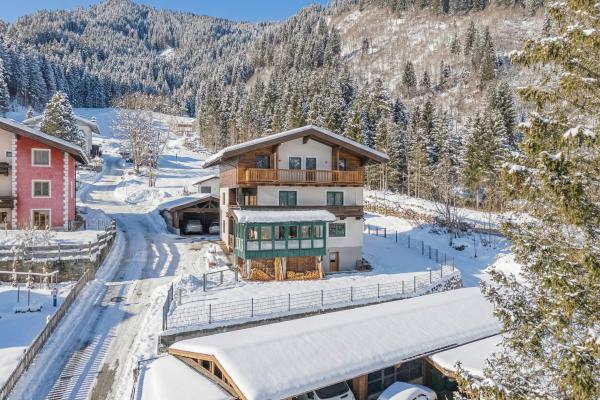 Alpenappartement met panoramisch uitzicht op de Krimml watervallen - thumbnail 1