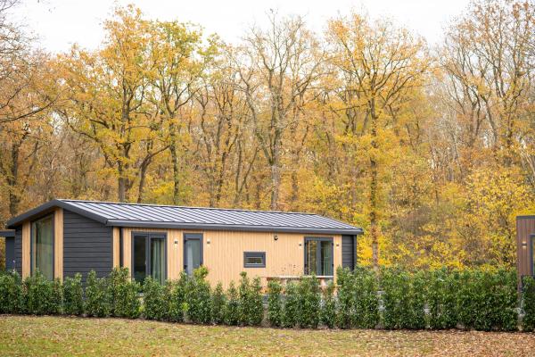 Aekinger Lodge: Modern chalet midden in het Drents-Friese Wold - thumbnail 1