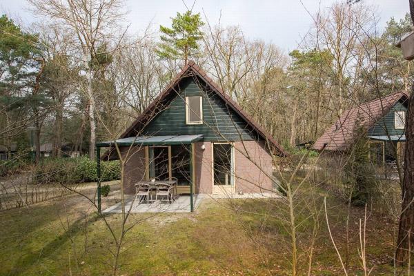 Vrijstaande lodge in het groen van Heesch | 3 slaapkamers & huisdieren welkom - thumbnail 6