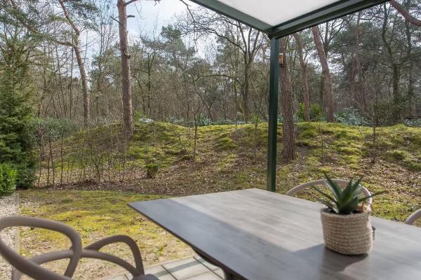 Vrijstaande lodge in het groen van Heesch | 3 slaapkamers & huisdieren welkom - thumbnail 4