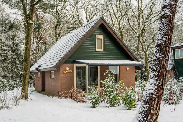 Groene bosvilla voor 6 personen in Heesch, op 400m van het centrum - thumbnail 6