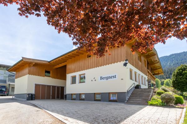 Knus appartement op de begane grond met uitzicht op de Wilder Kaiser - thumbnail 1