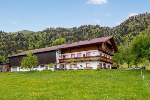 Modern appartement op idyllische boerderij in natuurgebied Schwemm bij Walchsee - thumbnail 1