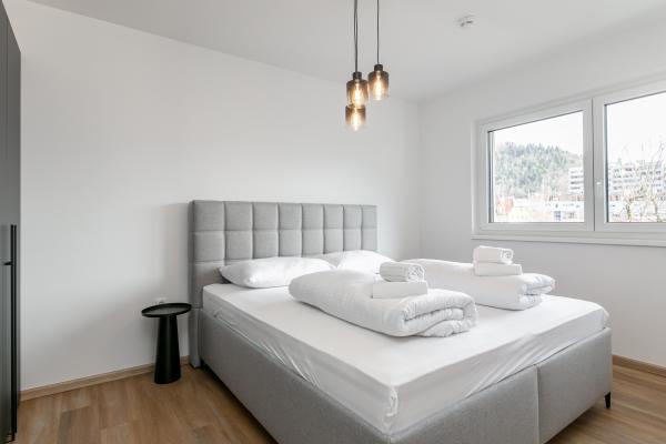 Stijlvol appartement in Jenbach, vlakbij centrum en op 900m van de skilift - thumbnail 5