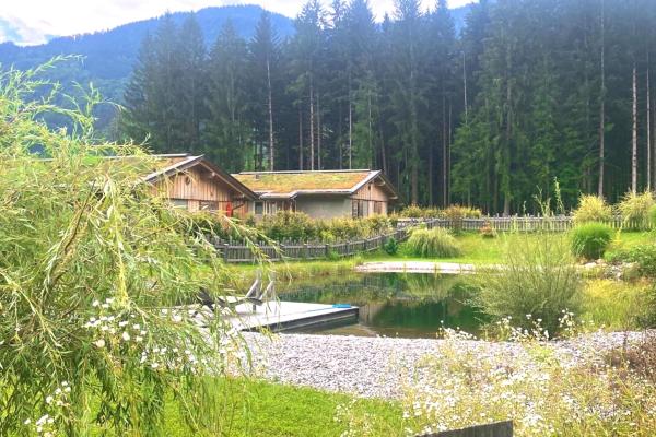 Vrijstaand chalet met sauna aan de bosrand bij Hermagor, 5 personen - thumbnail 1