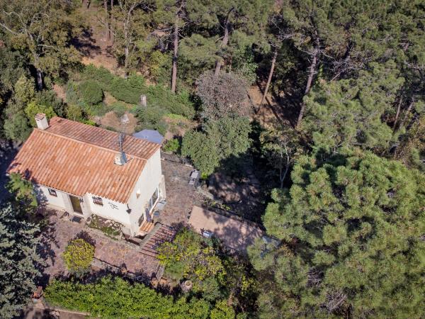 Villa photo 4