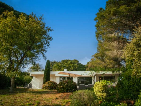 Villa photo 3