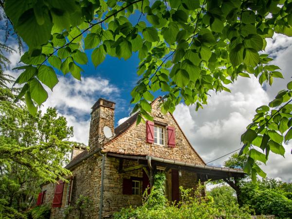 Villa photo 5