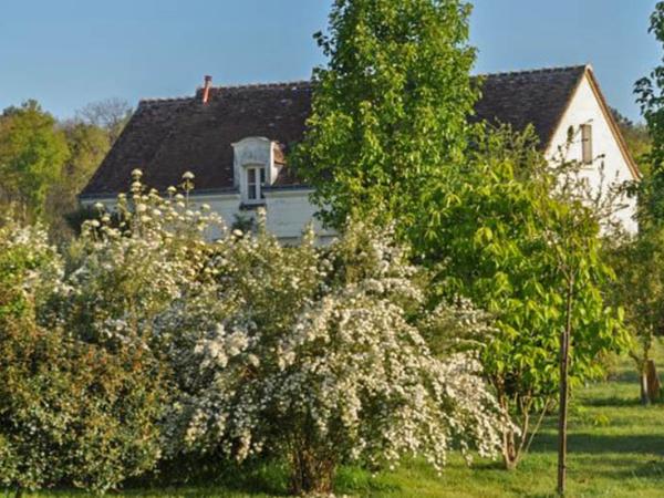 Villa photo 3