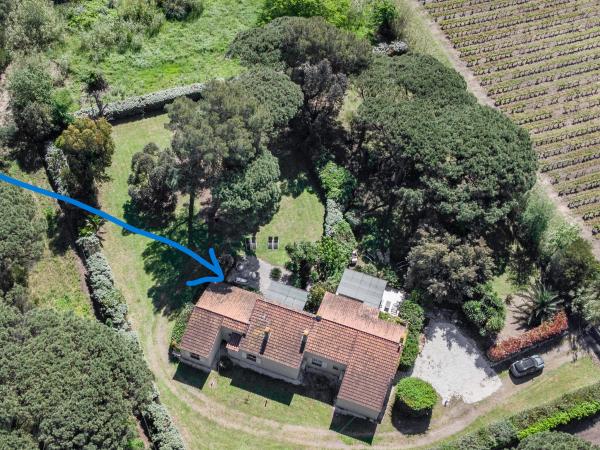Villa photo 4