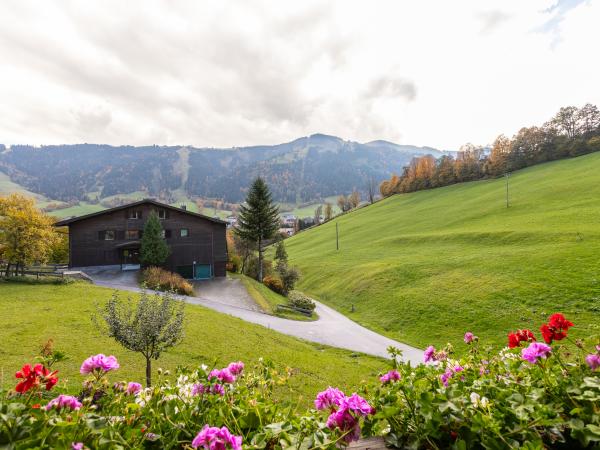 Villa photo 2