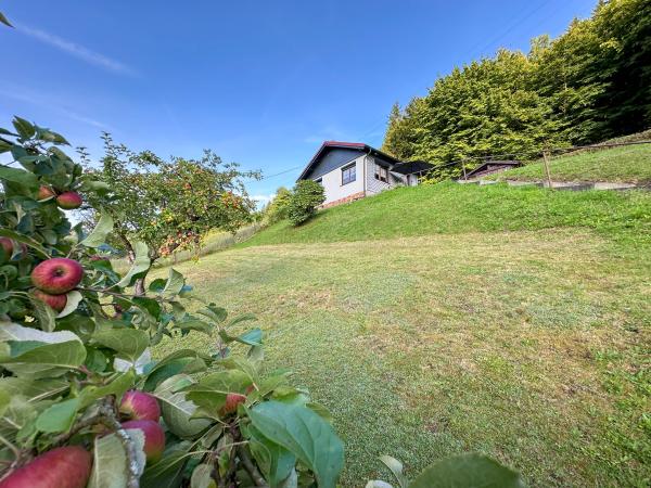 Villa photo 3