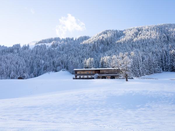 Villa photo 2