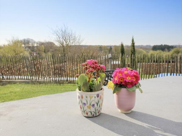 Villa photo 5