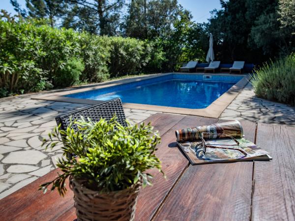 Villa photo 3