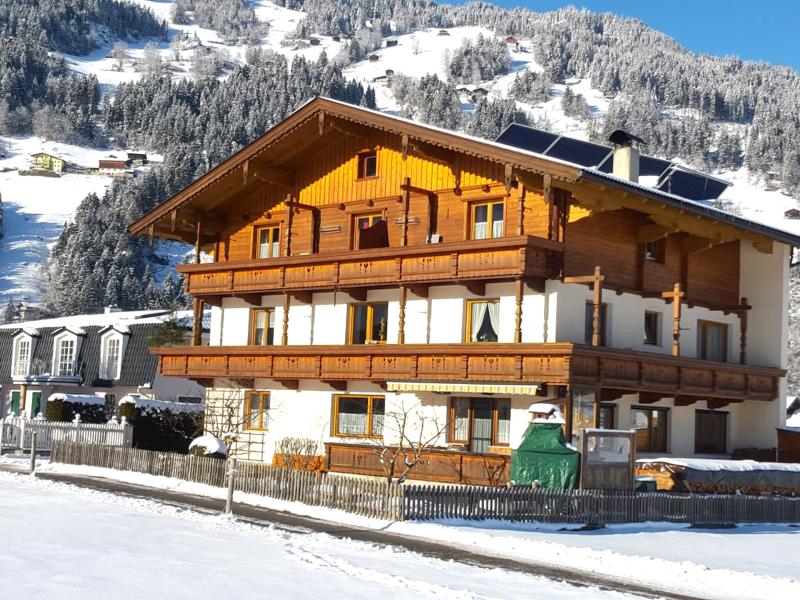 Lovely apartment with balcony and ski storage
